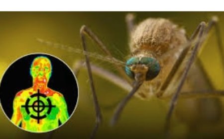 L’animal le plus dangereux au monde...