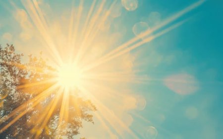 Il n'a jamais fait aussi chaud sur Terre...