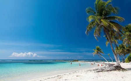 Partir en Guadeloupe : quelle est la meilleure période ?