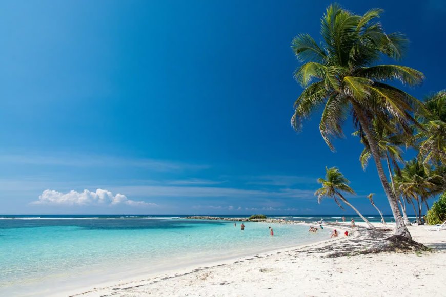 Partir en Guadeloupe : quelle est la meilleure période ?