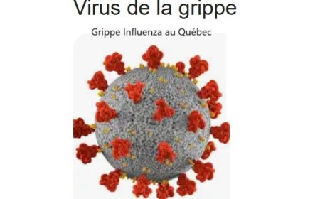Grippe influenza au Québec