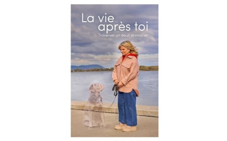 Comment faire doucement la paix avec l'absence?