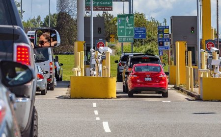 Voyager aux États-Unis en 2025 par voie terrestre : les aliments autorisés à apporter aux États-Unis par voie terrestre