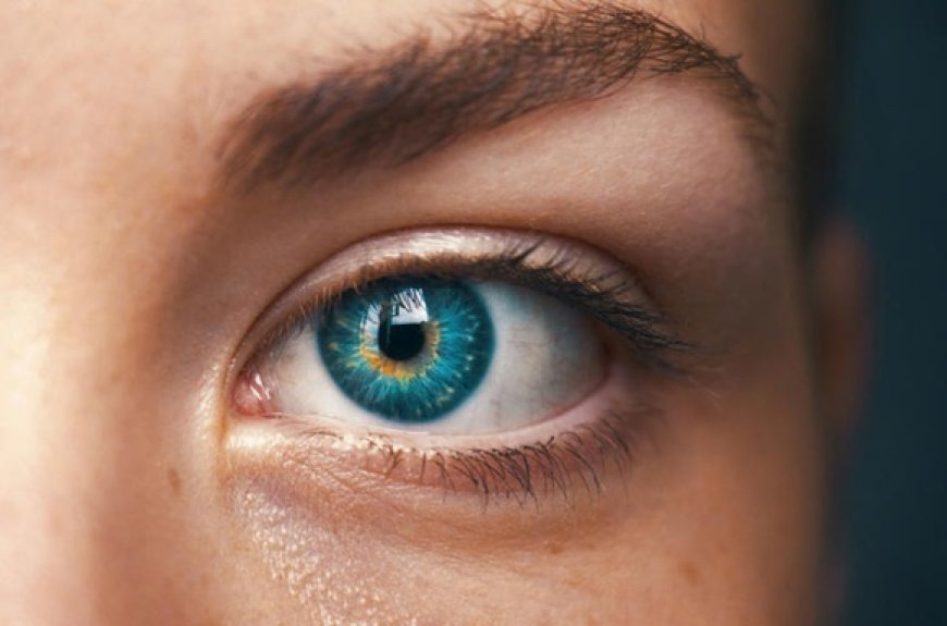 Des scientifiques leur retirent des dents pour les greffer dans les yeux, et leur rendre la vue