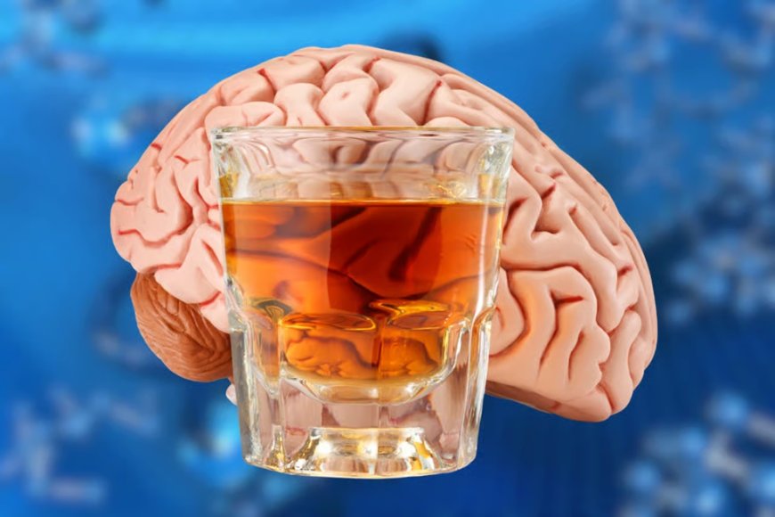 Pourquoi boire de l'alcool abîme-t-il bien plus le cerveau qu’on ne le pense ?