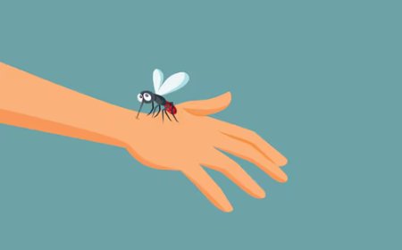 Pourquoi les maringouins piquent-ils plus certaines personnes que d’autres?