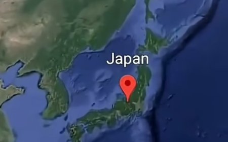 Tremblement de TERRE ! Les maisons au Japon ne s’effondrent pas! Pourquoi ?