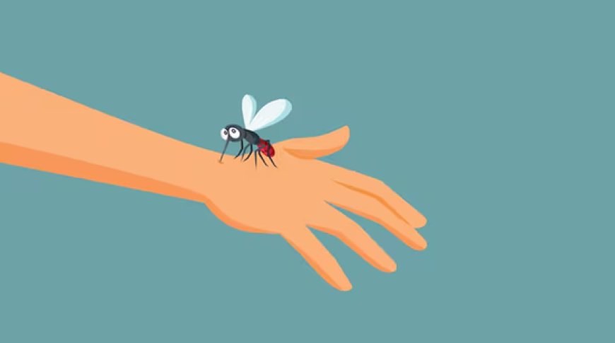 Pourquoi les maringouins piquent-ils plus certaines personnes que d’autres?