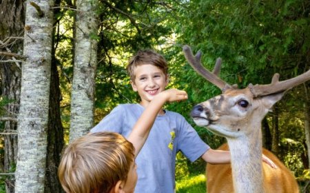 Activités l'été au Québec pour des jeunes de 8 à 12 ans