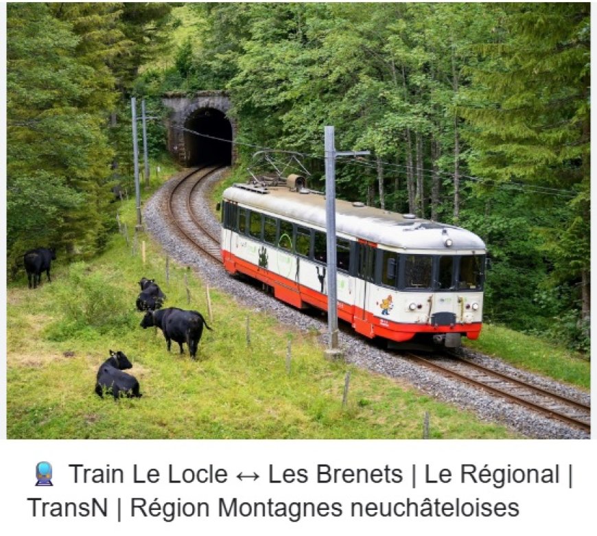 Train touristique du Locle en Suisse