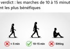 Quelle est la durée idéale de vos marches pour rester en bonne santé ?