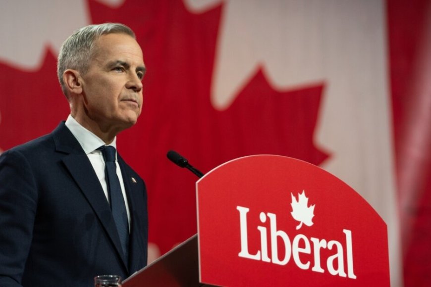 Problèmes importants du parti libéral fédéral - Janvier 2026 ...