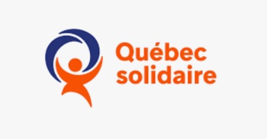 Problèmes importants du parti QS du Québec
