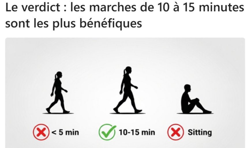 Quelle est la durée idéale de vos marches pour rester en bonne santé ?