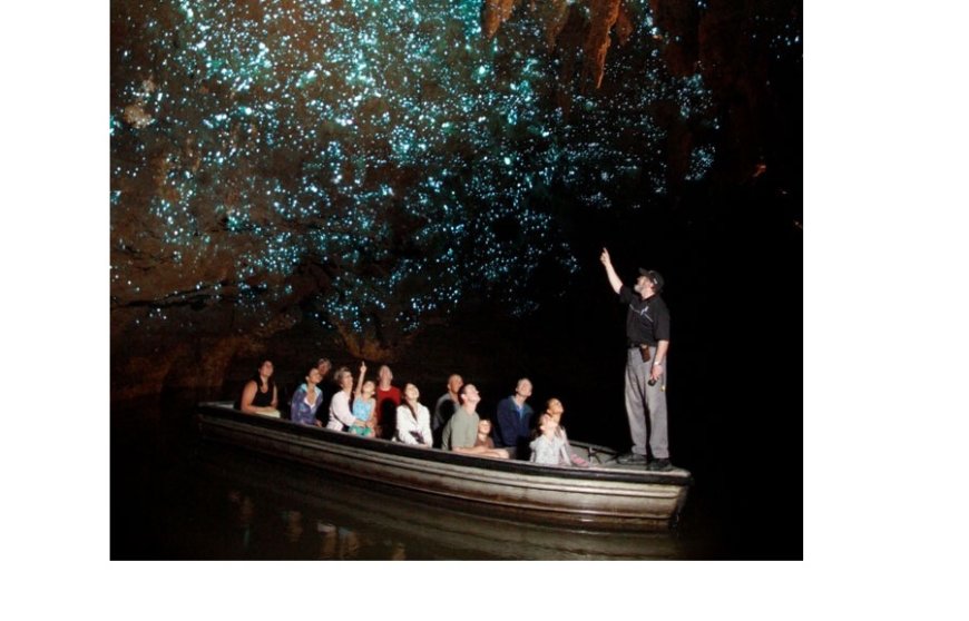 Comment se produit la lumière dans la grotte de Waitomo en Nouvelle Zélande ?