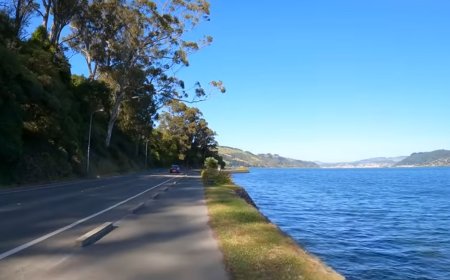 Vidéos de course virtuelle avec musique