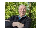 ---  René Beauchamp et «Comprendre.site»  ---