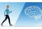 Faire de l’exercice peut  rajeunir le cerveau...