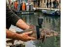 Venise sous les canaux - Poisson espion !!!