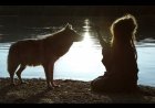 Le chien est le premier ami de l'homme.