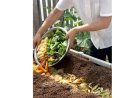 Les déchets de cuisine peuvent enrichir naturellement votre sol...