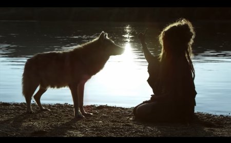 Le chien est le premier ami de l'homme.