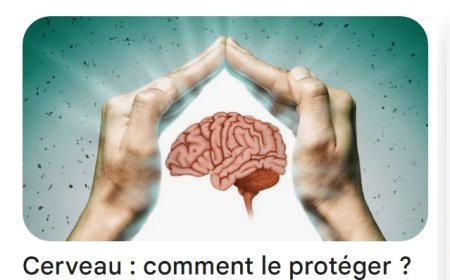 Un mécanisme de protection du cerveau pour vivre longtemps