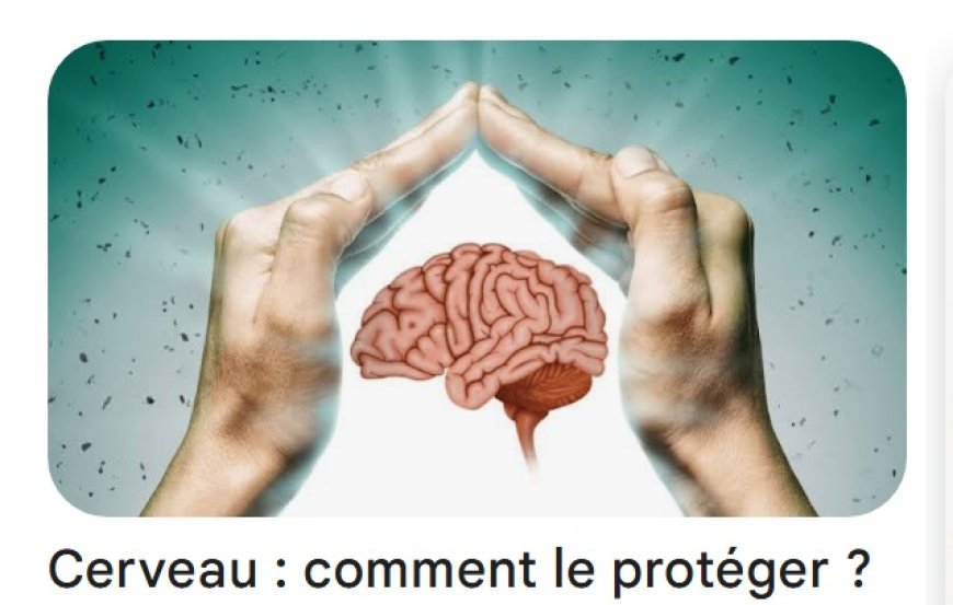 Un mécanisme de protection du cerveau pour vivre longtemps