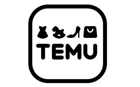 «Temu» est un site de magasinage en ligne à très bas prix.