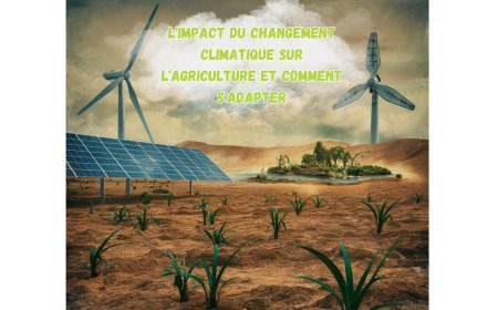 Quels sont des bénéfices majeurs de l'IA (intelligence artificielle) en 2026 ?