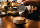 «L'Histoire du Café»  — La drogue légale la plus consommée au monde