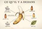Que se passe-t-il dans votre corps quand vous mangez une banane ?
