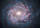 Sommes-nous seuls dans l’Univers ?