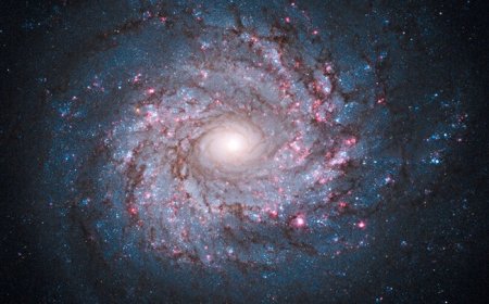 Sommes-nous seuls dans l’Univers ?