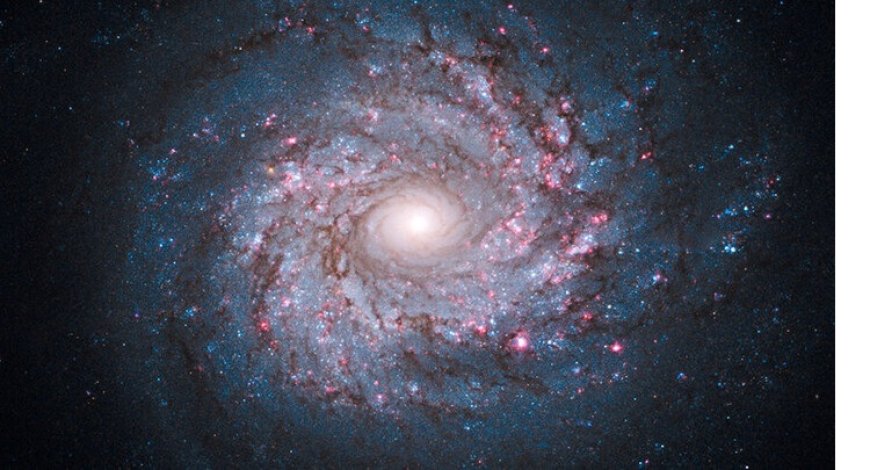 Sommes-nous seuls dans l’Univers ?